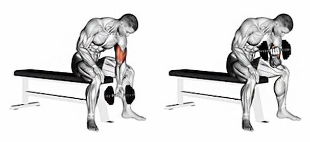 Muž vykonávajúci cvik koncentrovaný bicepsový zdvih