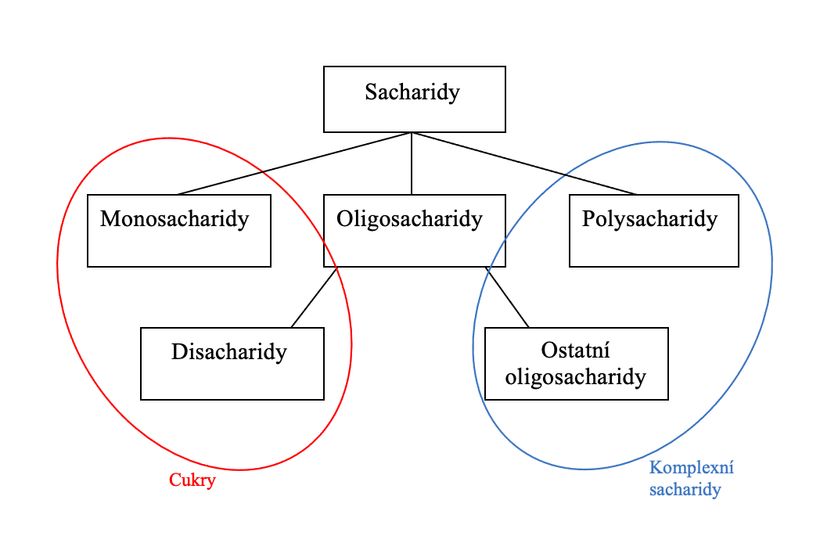 Sacharidy: jak se v nich vyznat, a je třeba je při hubnutí vyřazovat?