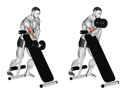 Muž provádějící cvik bicepsový zdvih s oporou o lavičku
