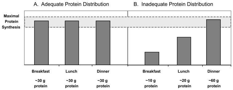 Piju protein, ale výsledky nikde! Vyplatí se to vůbec?