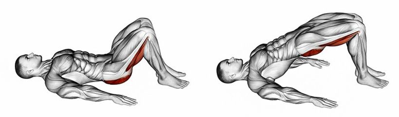 cvik Glute Bridge