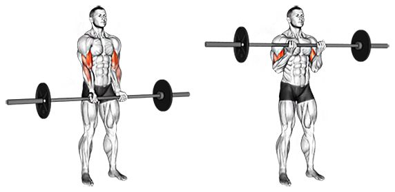 Muž provádějící cvik bicepsový zdvih s velkou činkou
