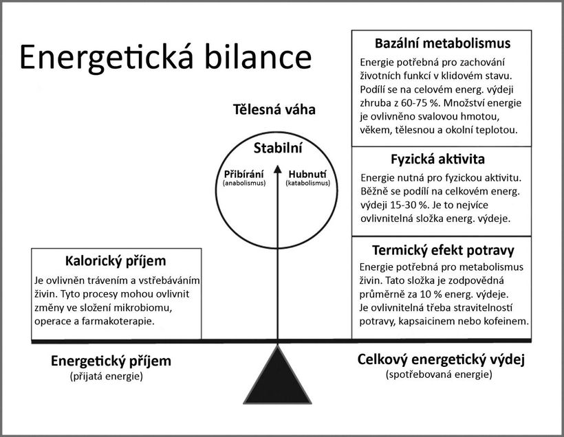 Jíte málo, tvrdě makáte, a přesto nehubnete? Tak zkuste jíst víc!