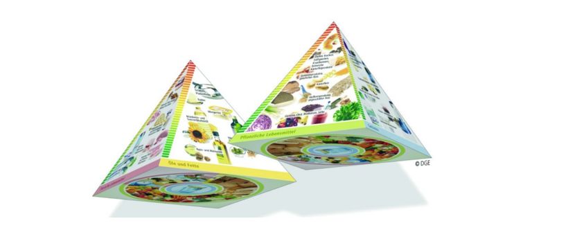Trojrozměrná potravinová pyramida DGE