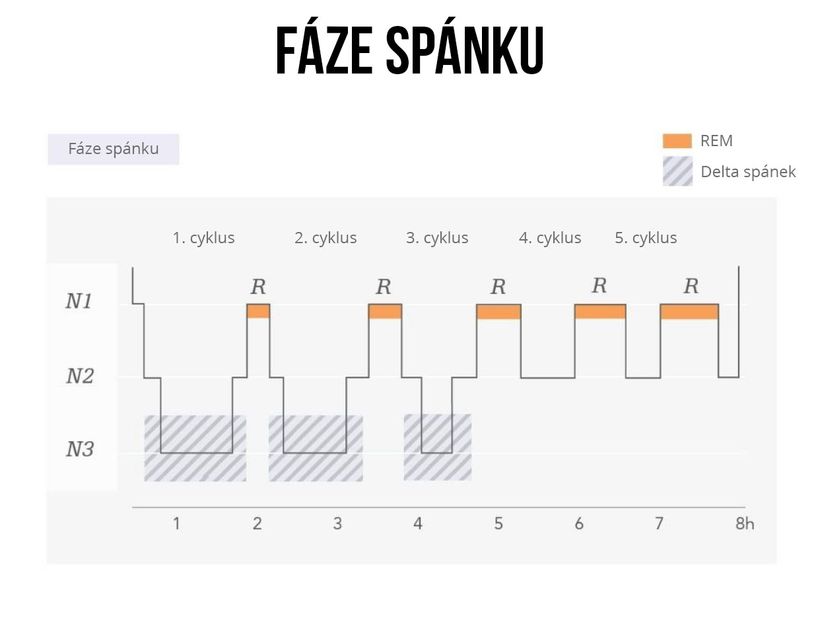 Fáze spánku a jejich délka