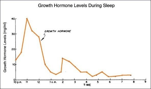 Růstový hormon