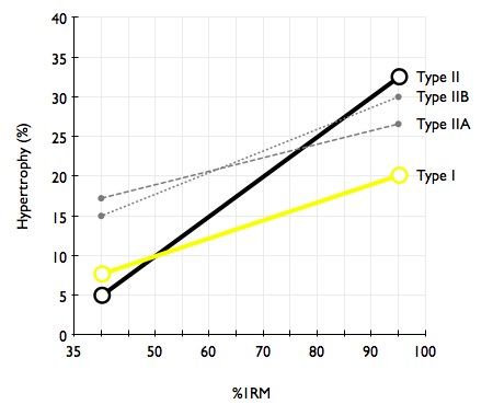 Zaostřeno na trénink rychlosti. Znamená více svalů i větší rychlost?