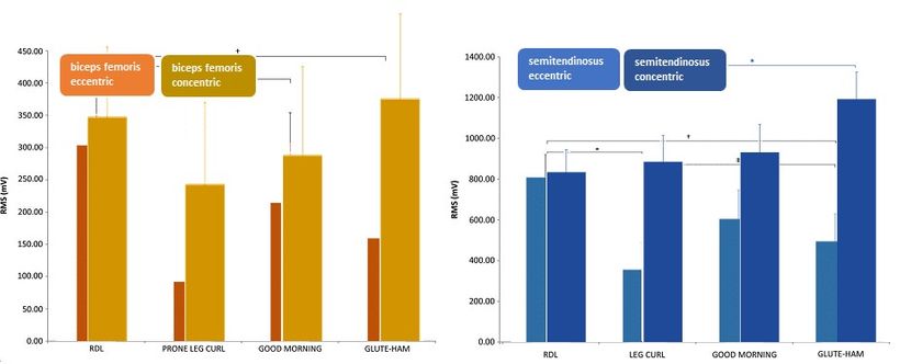 Zapojení zadní strany stehen