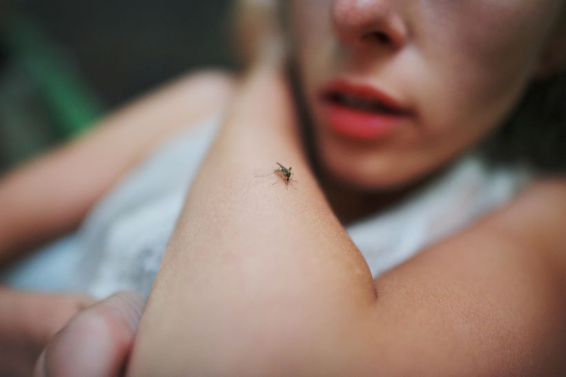 Prehľad repelentov: Ktoré látky skutočne fungujú a je možné si ho vyrobiť doma?