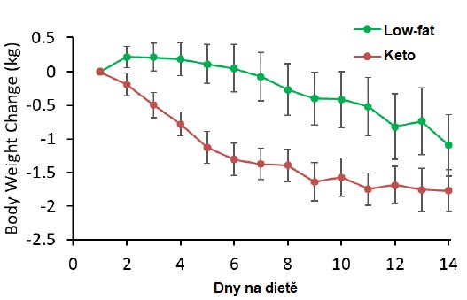 Keto dieta vs. vysokosacharidové stravování: Na které stravě nejvíce a bez hladovění zhubnete?