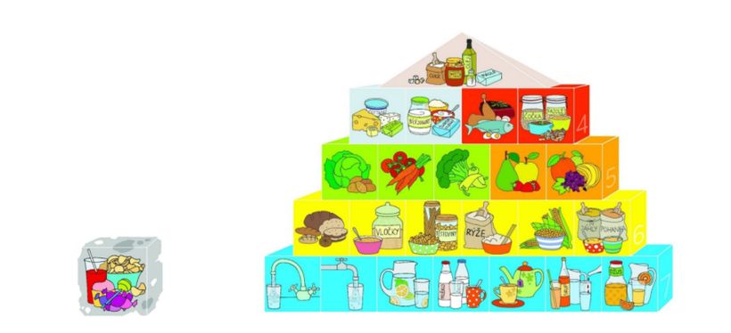 Potravinová pyramida: návod na cestě za zdravějším jídelníčkem | Aktin