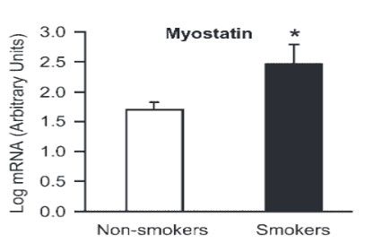 Svaly po cigaretách nerostou. Proč kuřáci nikdy nedosáhnou maximálních výsledků?