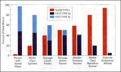 Zaostřeno na trénink rychlosti. Znamená více svalů i větší rychlost?