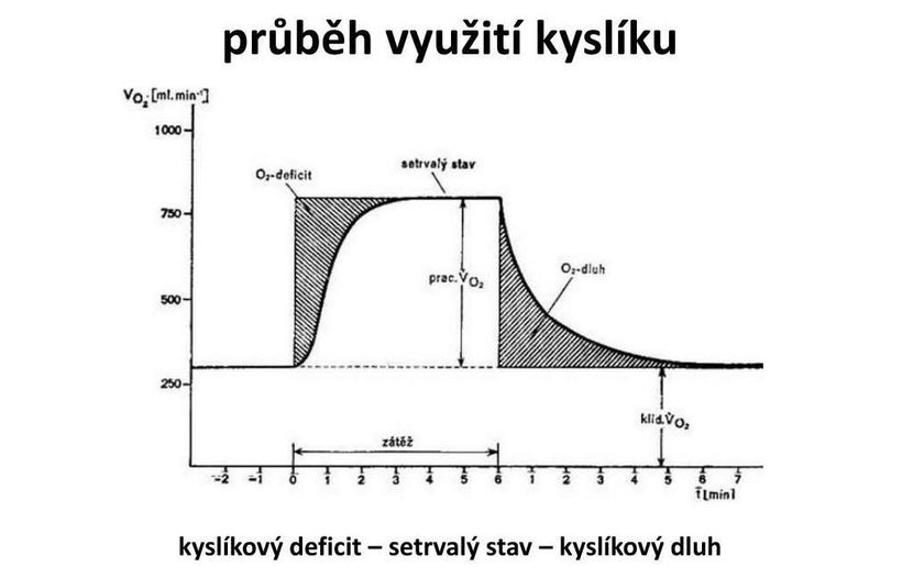 Viete pri cvičení správne dýchať? Dobrá technika dychu ovplyvňuje viac, než si myslíte