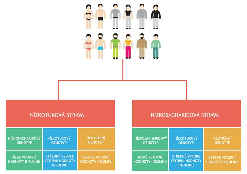 Nízkotuková vs nízkosacharidová dieta: díky které zhubnete rychleji?
