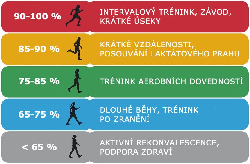 Tepová frekvencia pri behu: ako si podľa nej naplánovať tréning?