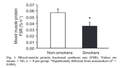 Svaly po cigaretách nerostou. Proč kuřáci nikdy nedosáhnou maximálních výsledků?