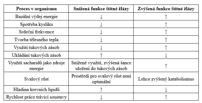 Proč potřebuji funkční a zdravou štítnou žlázu, když chci hubnout