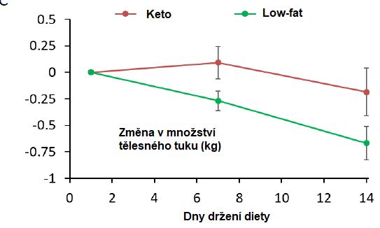 Keto dieta vs. vysokosacharidové stravování: Na které stravě nejvíce a bez hladovění zhubnete?