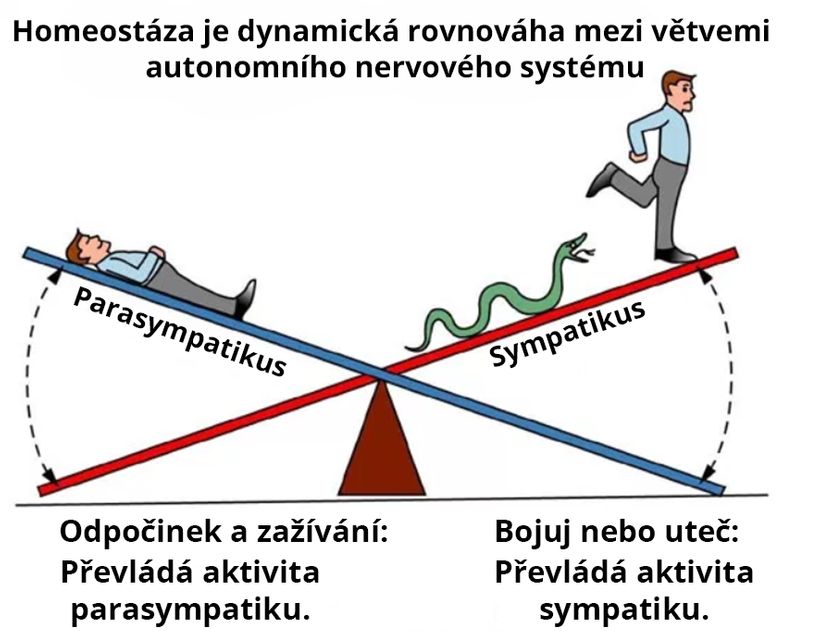 Znáte rizika vysokého krevního tlaku? Třetina lidí netuší, že má zdravotní problém