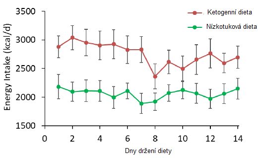 Keto dieta vs. vysokosacharidové stravování: Na které stravě nejvíce a bez hladovění zhubnete?