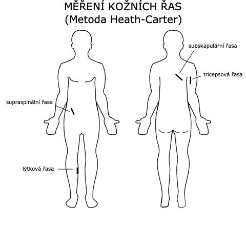 Místa měření kožních řas