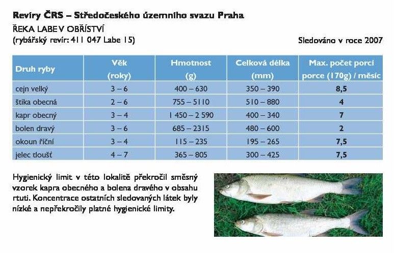 Je losos z farmy nebo tuňák z konzervy pro naše tělo toxickou hrozbou?