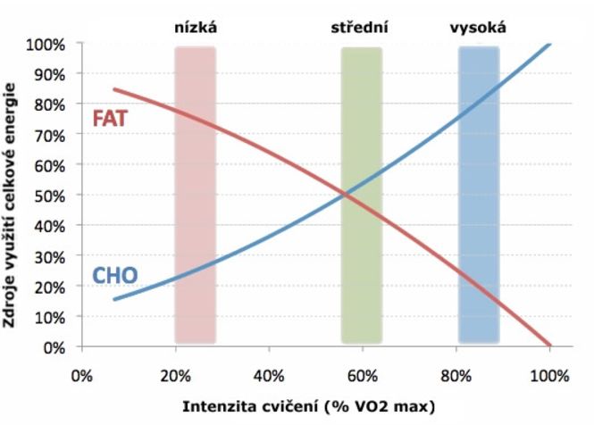 7 důvodů, proč jsem díky plavání zdravější i výkonnější