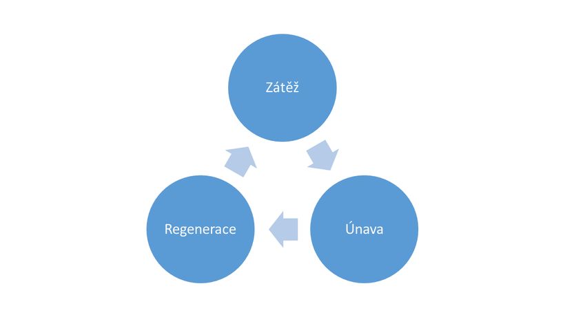 Regenerace svalů po cvičení: jak ji urychlit?