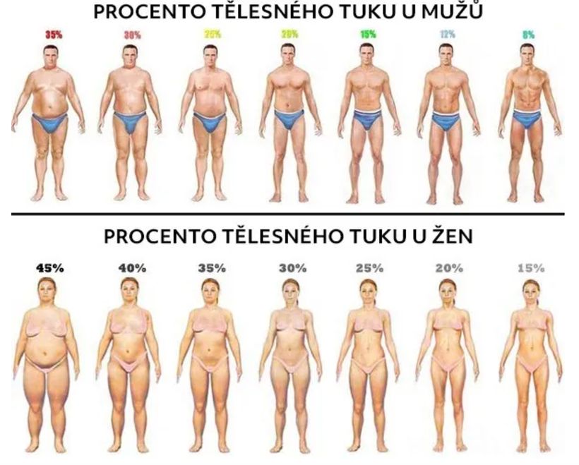 Ako zistiť percento tuku v tele?