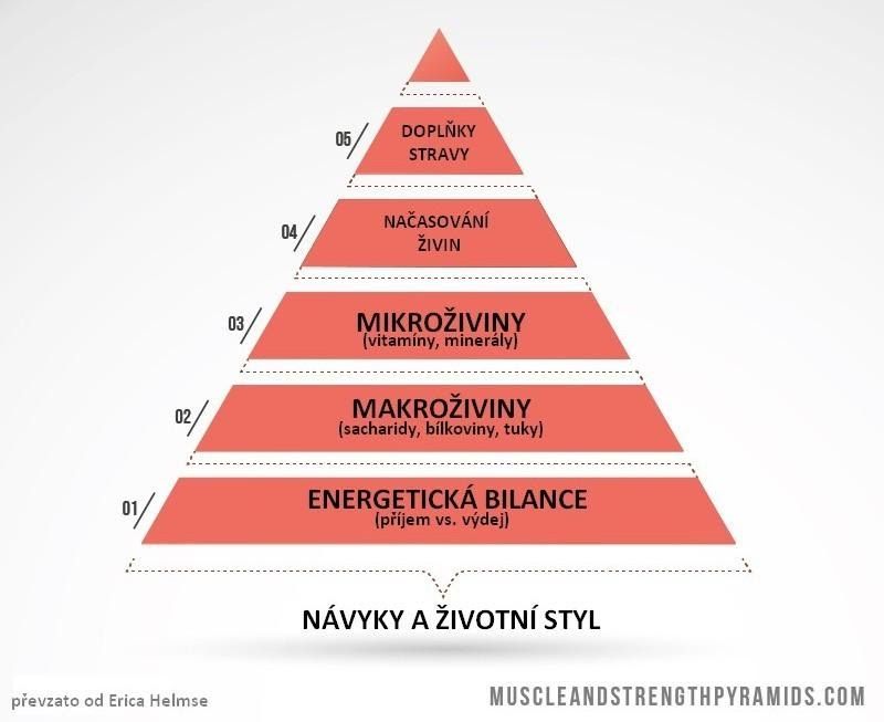 Jak nejvic nabrat svalovou hmotu?