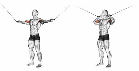 5 cviků pro dokonalý biceps