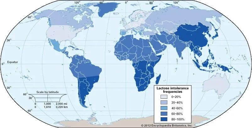 Intolerancia laktózy: čím je spôsobená a ako s ňou žiť?