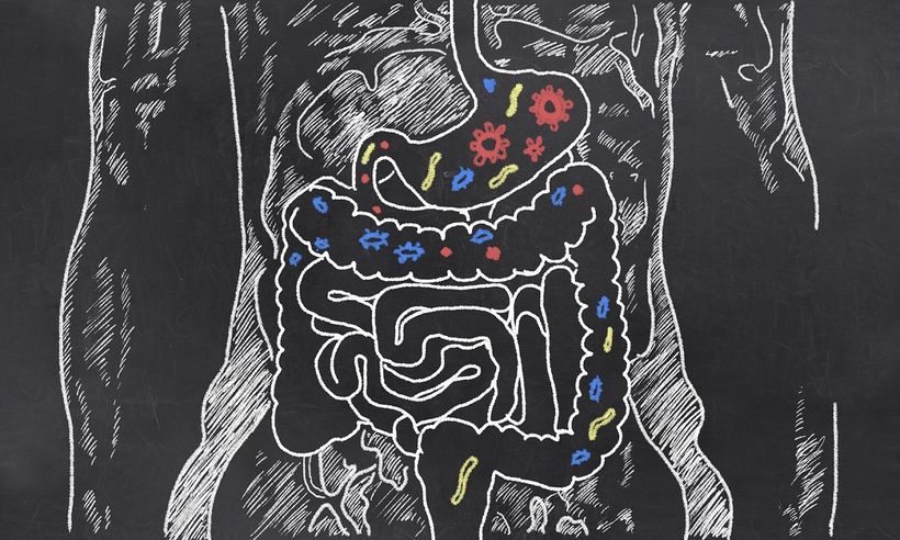 Črevný mikrobióm: čo ovplyvňuje a ako sa oň starať?