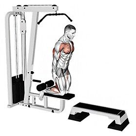 cvik Glute Ham Raise