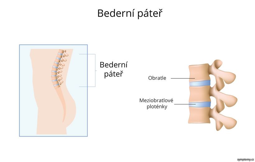 8 cvikov na posilnenie a uvoľnenie bedrovej chrbtice