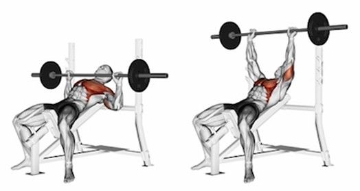 Muž provádějící cvik tlaky s velkou činkou na šikmé lavici