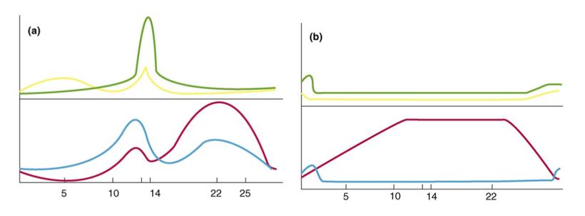 Čo sa stane po vysadení antikoncepcie?