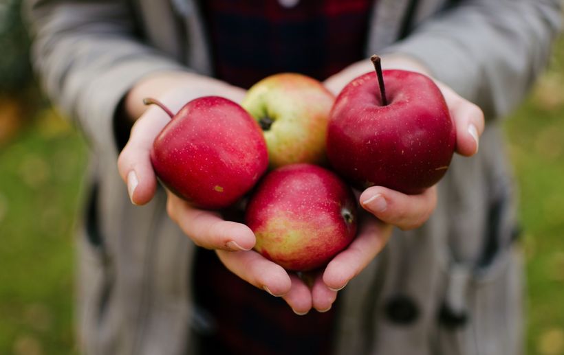 Co jsou flavonoidy a jaké mají zdravotní benefity?