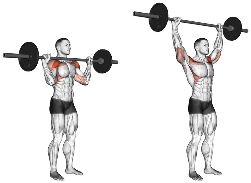 5 efektivních cviků pro široká a kulatá ramena