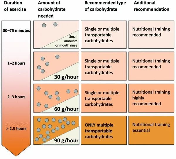 Intra-Workout-Supplement: Bessere Regeneration und mehr Leistung