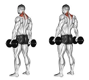 Muž vykonávajúci cvik krčenie ramien