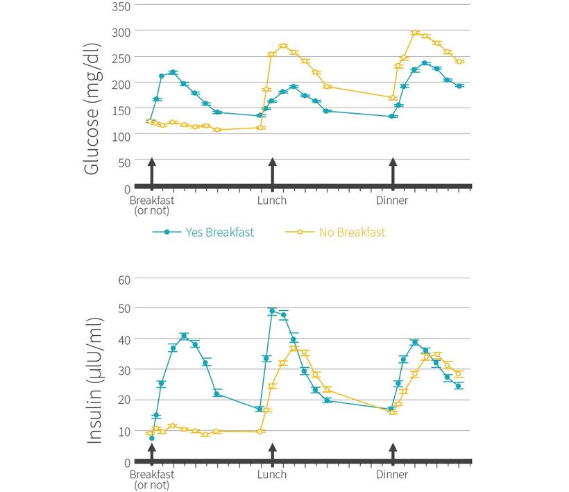 Nárůst hladiny inzulinu a glukózy