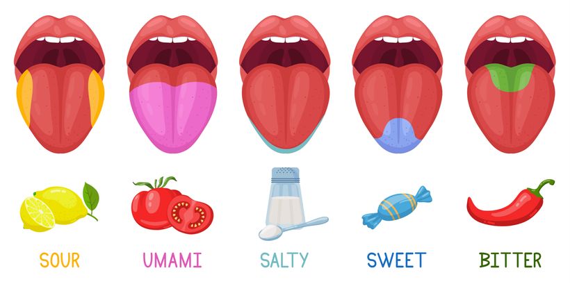 Was ist Umami-Geschmack? In welchen Lebensmitteln steckt er?
