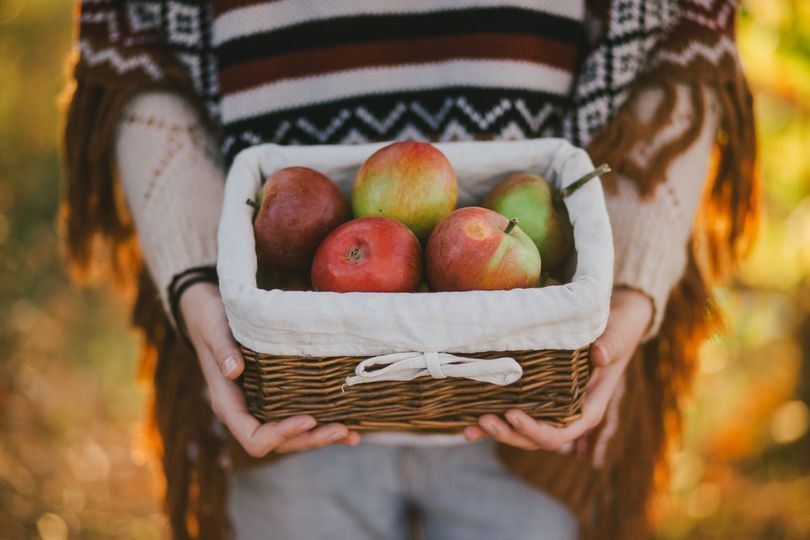7 nejlepších podzimních plodů: čím prospívají zdraví a jak je zpracovat