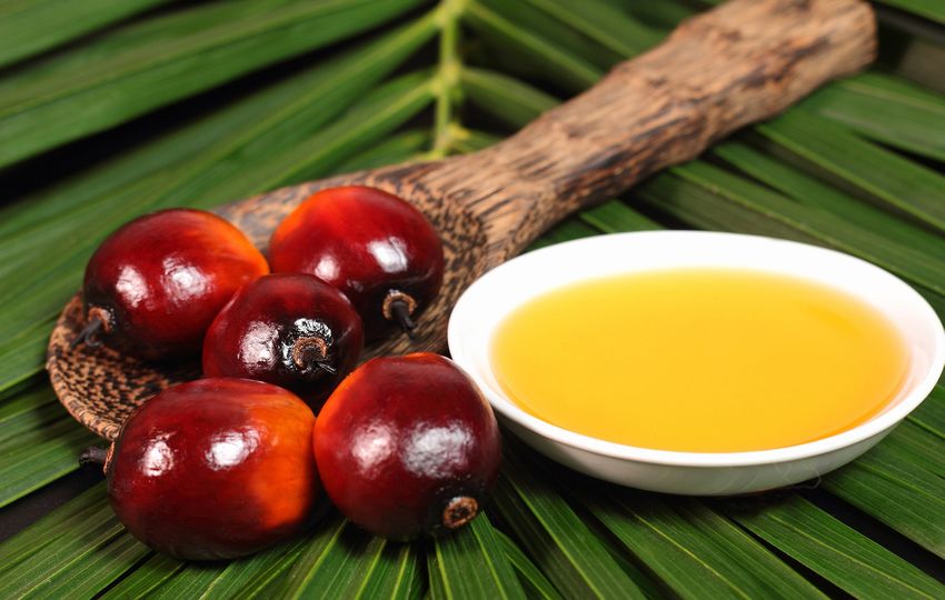 Fakta o palmovém oleji. Škodí jen přírodě, nebo i člověku?
