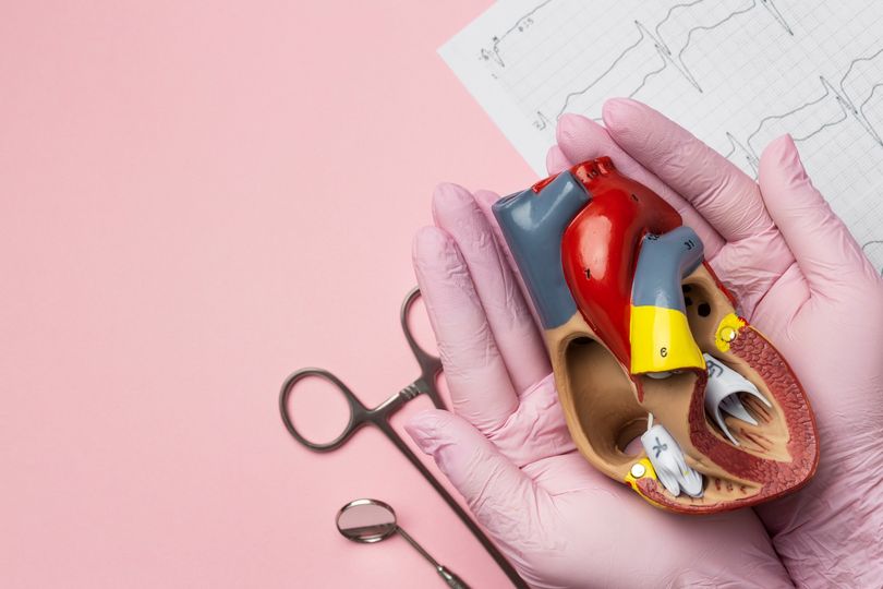 Lipidy v krvi - jak se v nich vyznat a jak je snížit?