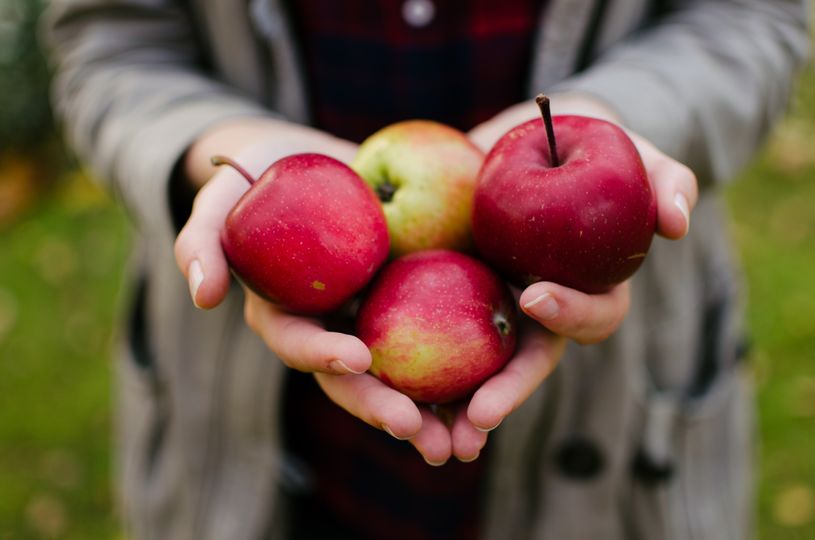 Jablka a zdraví: podpoří hubnutí i mozkové funkce