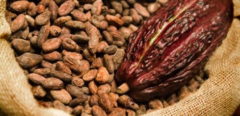 Kakao a antioxidanty