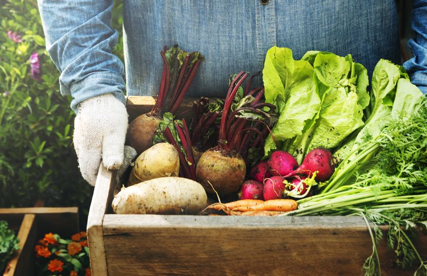 Lokálne potraviny: sú skutočne chutnejšie, zdravšie a udržateľné?